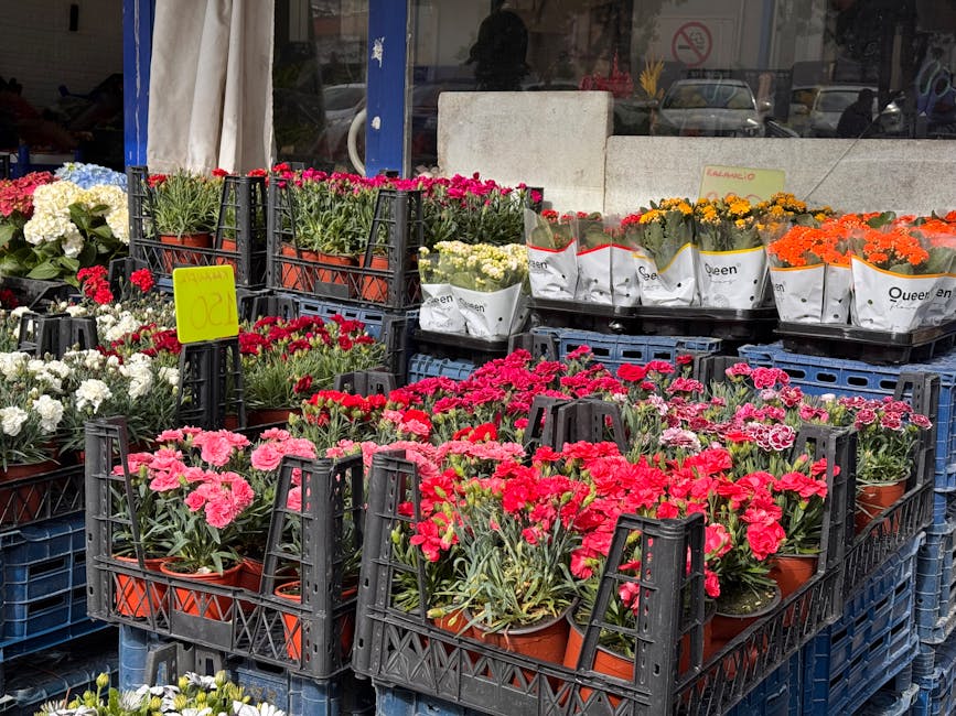 An outdoor display of various potted flowering plants arranged in black plastic crates on the pavement outside a flower shop. The arrangement includes vibrant pink, red, white, and orange flowers, wit